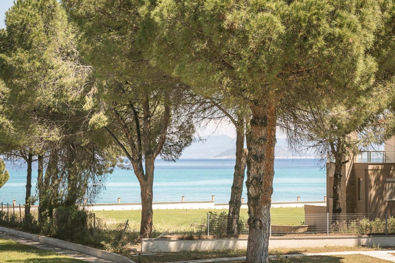 #Flh - Amalthia & Αthena Beachfront Houses In Pefkohori Exterior foto